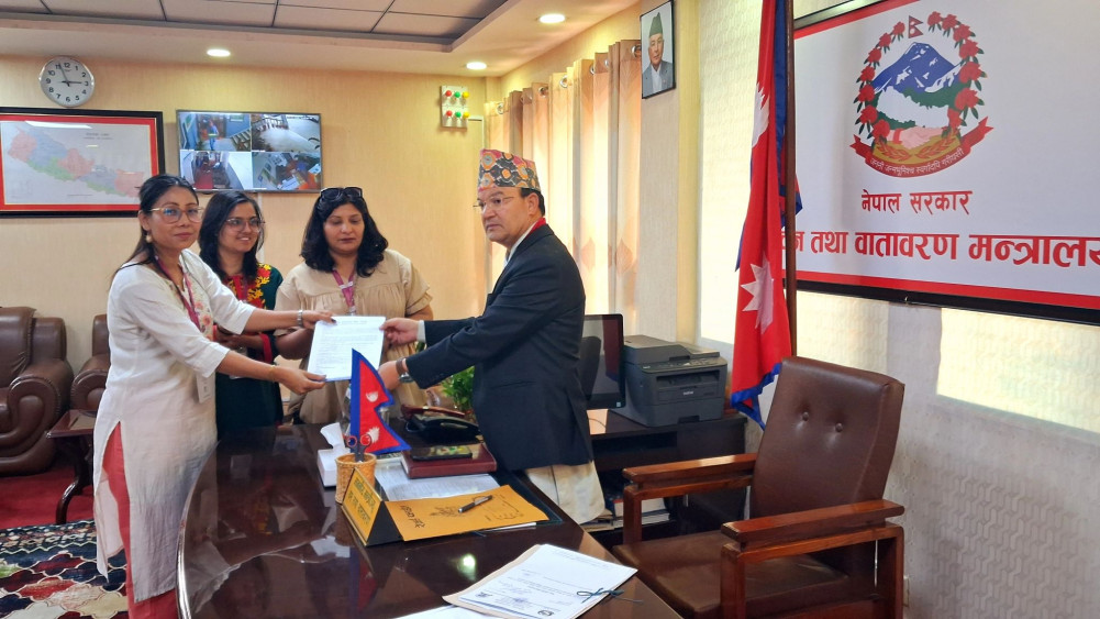 1743769407780-0542025033709