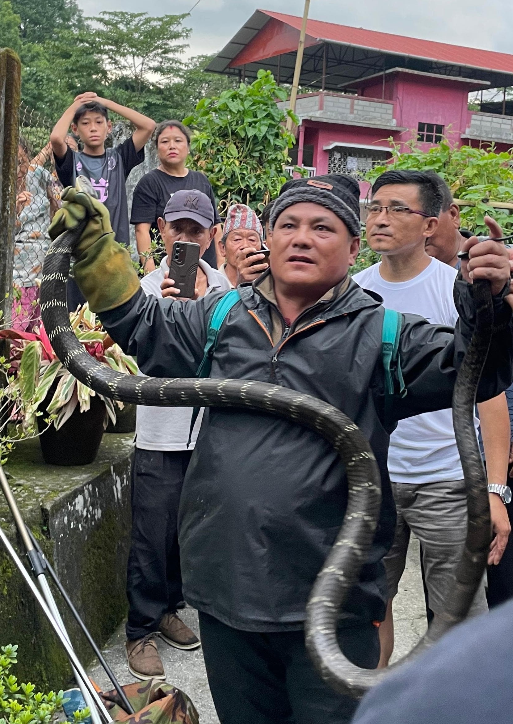 Read more about the article खरसाङ रेञ्चबाट एक महिना भित्रमा तीनवटा किङ कोब्रा उद्धार